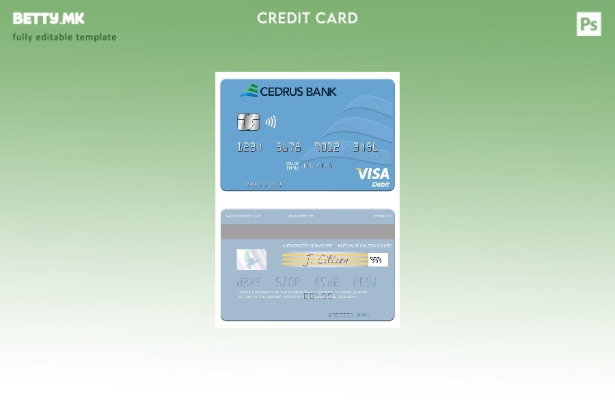 Шаблон за виза за дебитна картичка во модерен стил Либан Cedrus Bank